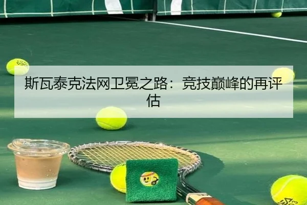 si-wa-tai-ke-fa-wang-wei-mian-zhi-lu-jing-ji-dian-feng-de-zai-ping-gu-2-901.jpg
